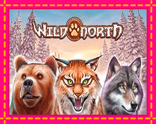 Wild North: chơi trực tuyến mà không cần đăng ký