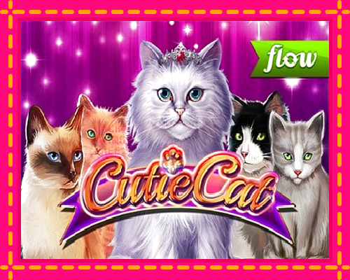 Cutie Cat: chơi trực tuyến mà không cần đăng ký