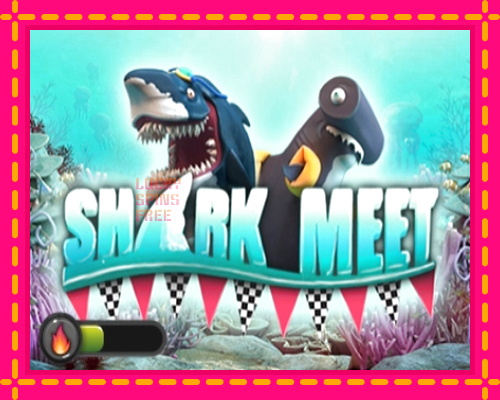 Shark meet: chơi trực tuyến mà không cần đăng ký