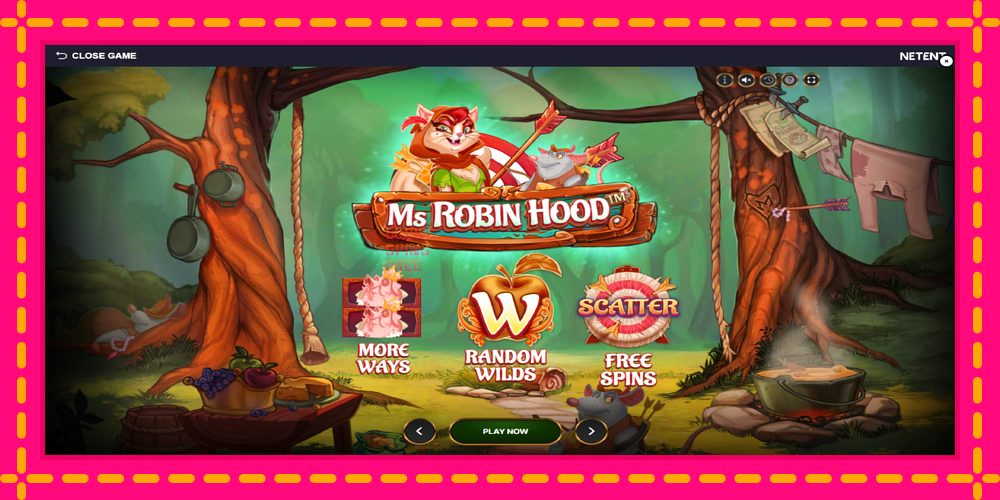 Ms Robin Hood - thiết bị chơi game với phần thưởng độc đáo, hình ảnh 1