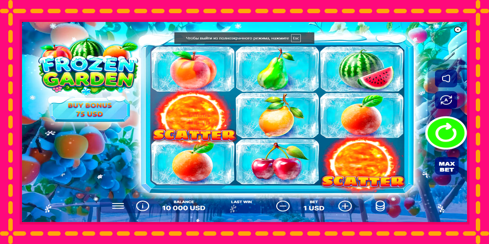 Frozen Garden - thiết bị chơi game với phần thưởng độc đáo, hình ảnh 1