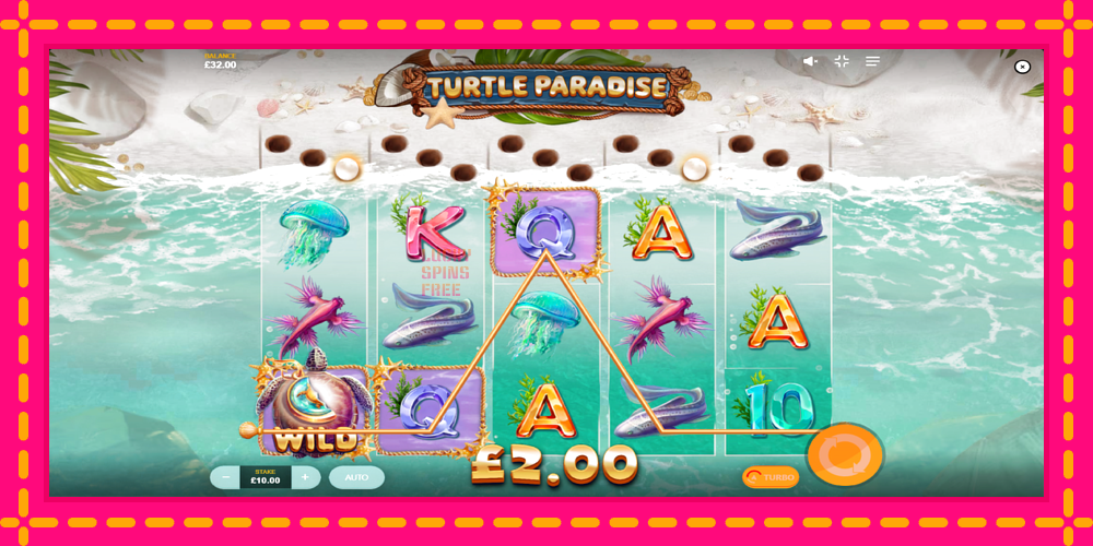 Turtle Paradise - thiết bị chơi game với phần thưởng độc đáo, hình ảnh 3